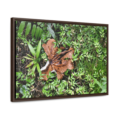 Rainforest Trails & Views - Gallery Canvas Wraps, Horizontal Frame - El Yunque National Forest - Puerto Rico - A decaying Yagrumo leaf - which creates many patterns - Green Forest Home