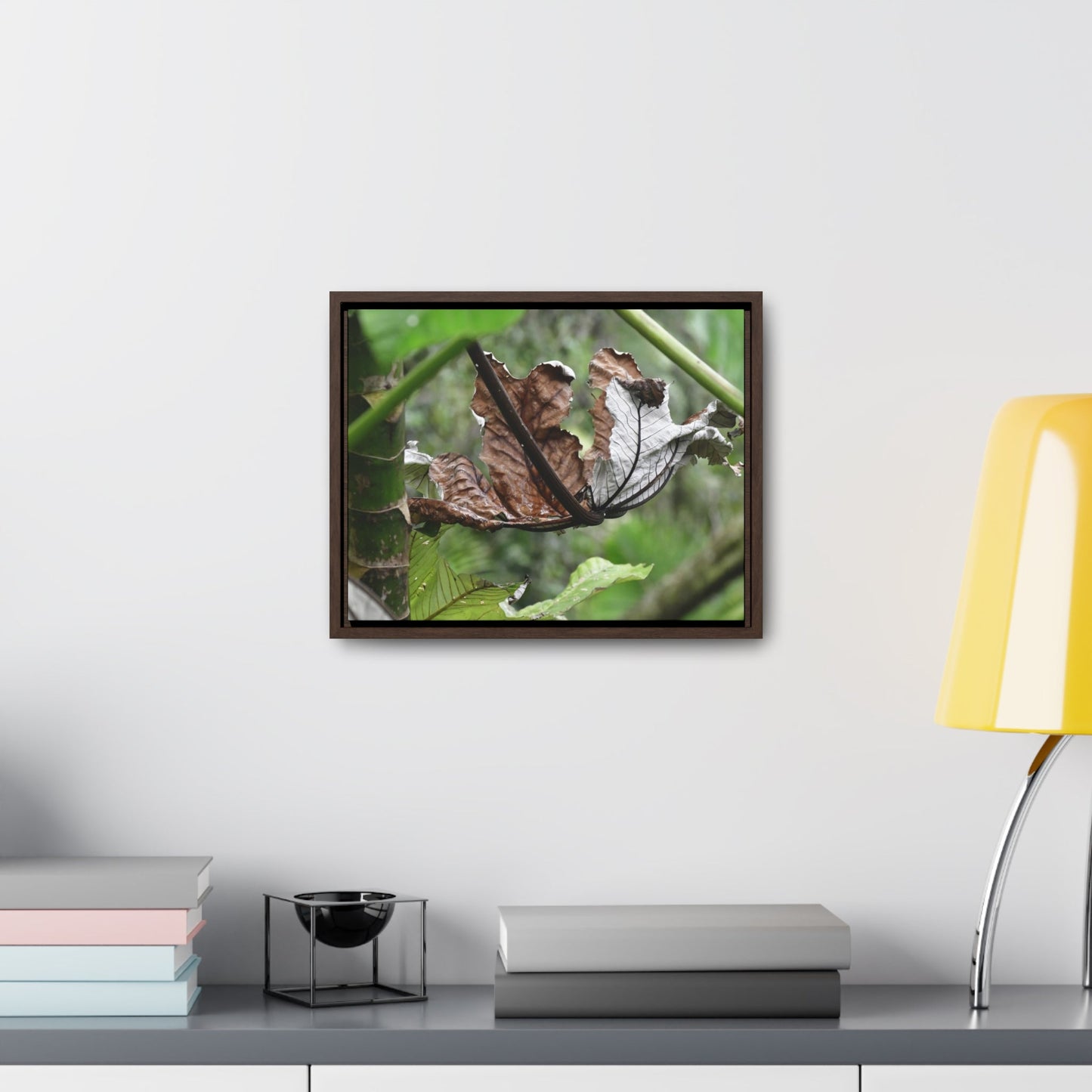 Rainforest Trails & Views - Gallery Canvas Wraps, Horizontal Frame - El Yunque National Forest - Puerto Rico - A decaying Yagrumo leaf - which creates many patterns - Green Forest Home