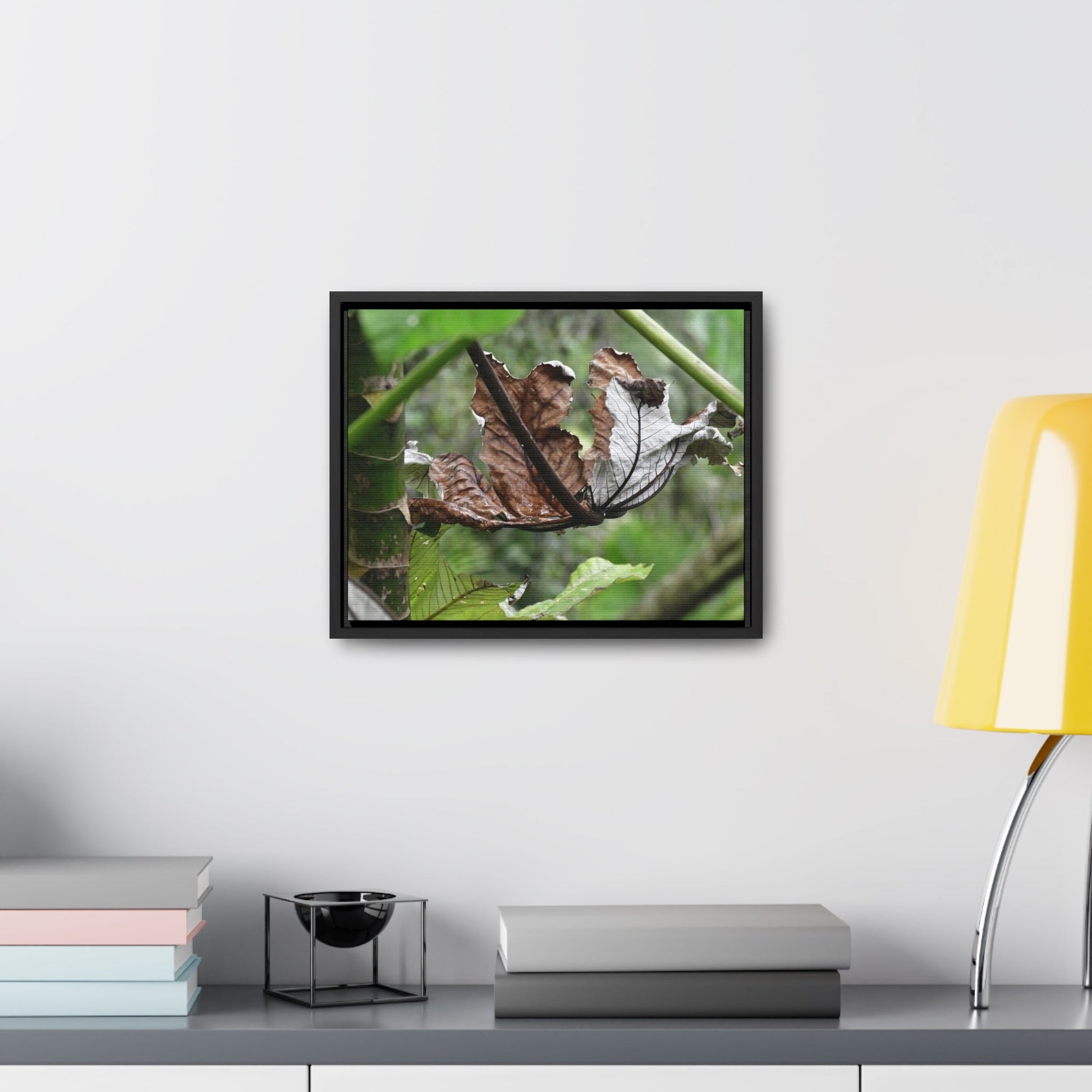 Rainforest Trails & Views - Gallery Canvas Wraps, Horizontal Frame - El Yunque National Forest - Puerto Rico - A decaying Yagrumo leaf - which creates many patterns - Green Forest Home