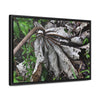 Rainforest Trails & Views - Gallery Canvas Wraps, Horizontal Frame - El Yunque National Forest - Puerto Rico - A decaying Yagrumo leaf - which creates many patterns - Green Forest Home