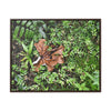 Rainforest Trails & Views - Gallery Canvas Wraps, Horizontal Frame - El Yunque National Forest - Puerto Rico - A decaying Yagrumo leaf - which creates many patterns - Green Forest Home