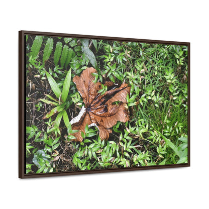 Rainforest Trails & Views - Gallery Canvas Wraps, Horizontal Frame - El Yunque National Forest - Puerto Rico - A decaying Yagrumo leaf - which creates many patterns - Green Forest Home
