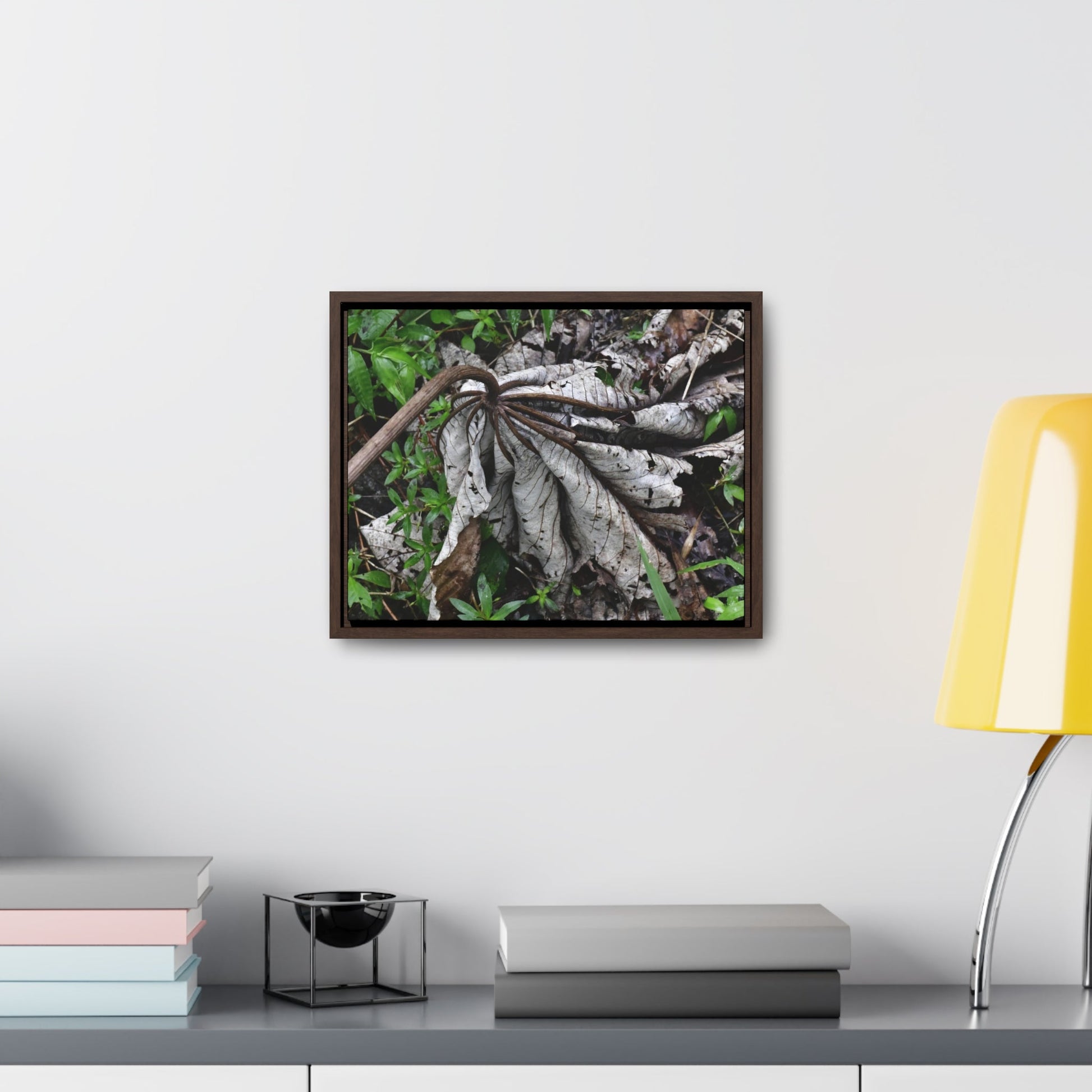 Rainforest Trails & Views - Gallery Canvas Wraps, Horizontal Frame - El Yunque National Forest - Puerto Rico - A decaying Yagrumo leaf - which creates many patterns - Green Forest Home