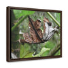 Rainforest Trails & Views - Gallery Canvas Wraps, Horizontal Frame - El Yunque National Forest - Puerto Rico - A decaying Yagrumo leaf - which creates many patterns - Green Forest Home