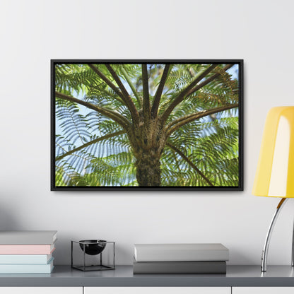 Rainforest Trails & Views - Gallery Canvas Wraps, Horizontal Frame - El Yunque National Forest - Puerto Rico - A Fern palm tree - an ancient tree - Green Forest Home