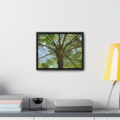 Rainforest Trails & Views - Gallery Canvas Wraps, Horizontal Frame - El Yunque National Forest - Puerto Rico - A Fern palm tree - an ancient tree - Green Forest Home