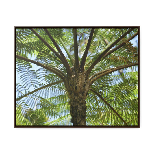Rainforest Trails & Views - Gallery Canvas Wraps, Horizontal Frame - El Yunque National Forest - Puerto Rico - A Fern palm tree - an ancient tree - Green Forest Home