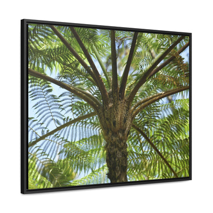 Rainforest Trails & Views - Gallery Canvas Wraps, Horizontal Frame - El Yunque National Forest - Puerto Rico - A Fern palm tree - an ancient tree - Green Forest Home
