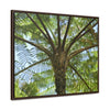 Rainforest Trails & Views - Gallery Canvas Wraps, Horizontal Frame - El Yunque National Forest - Puerto Rico - A Fern palm tree - an ancient tree - Green Forest Home