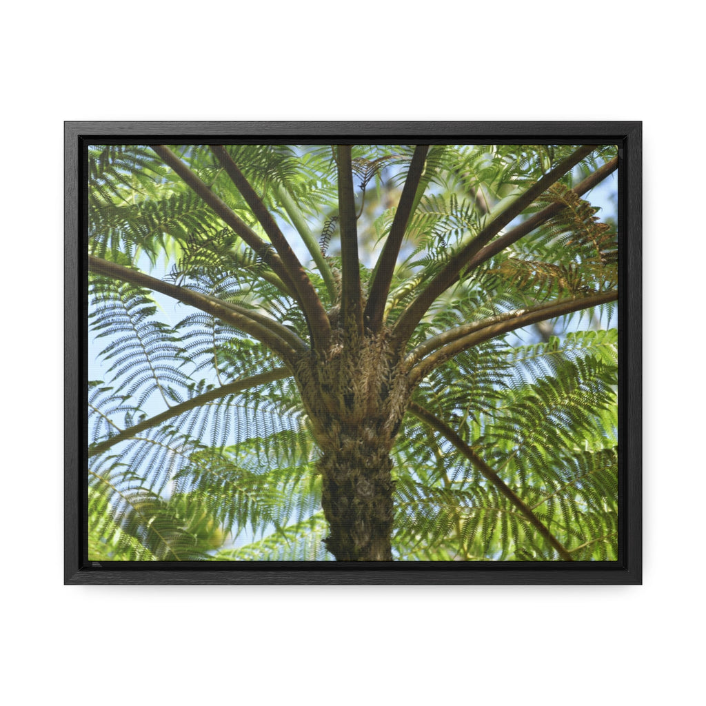 Rainforest Trails & Views - Gallery Canvas Wraps, Horizontal Frame - El Yunque National Forest - Puerto Rico - A Fern palm tree - an ancient tree - Green Forest Home