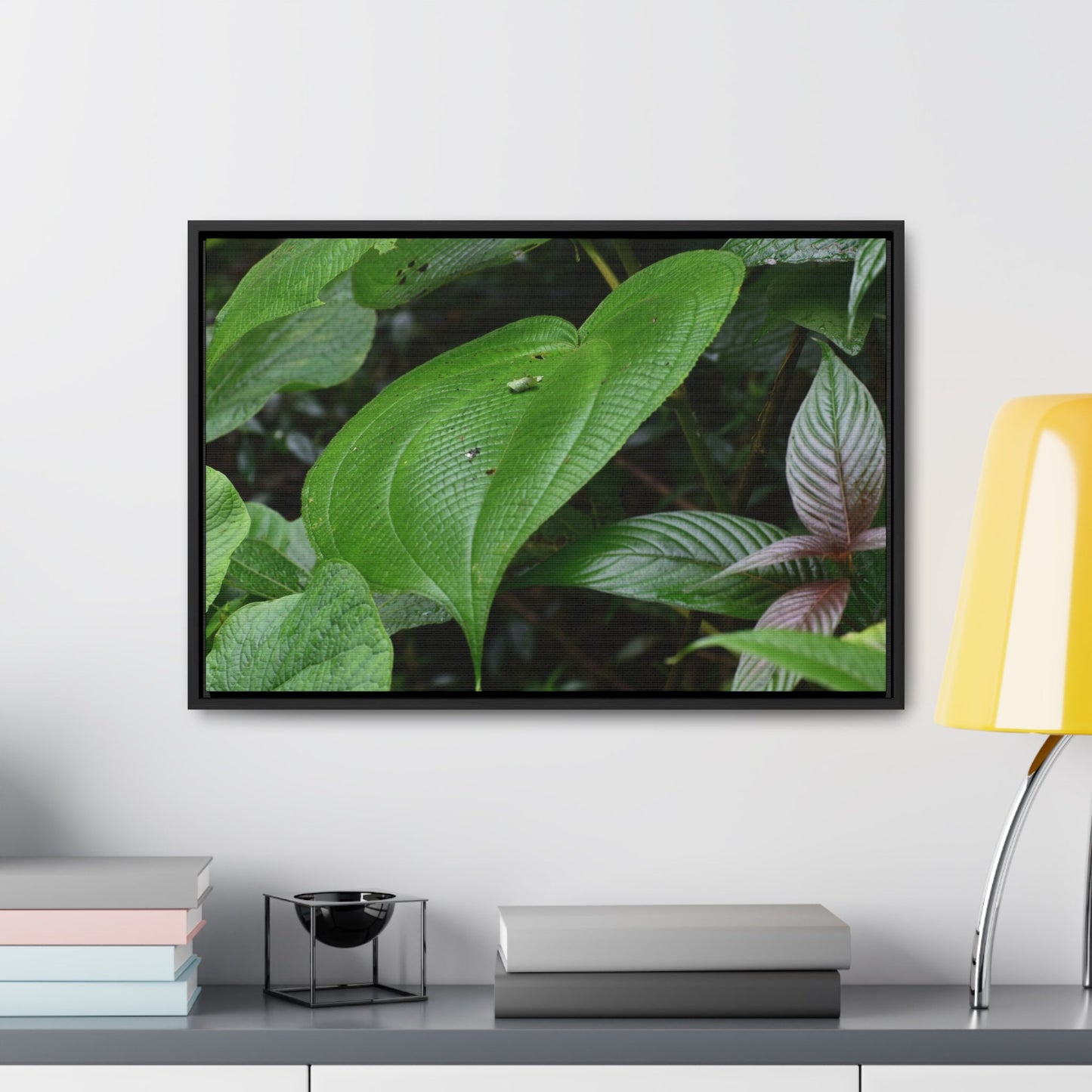 Rainforest Trails & Views - Gallery Canvas Wraps, Horizontal Frame - El Yunque National Forest - Puerto Rico - A few of El Yunque 250 plant species - Green Forest Home