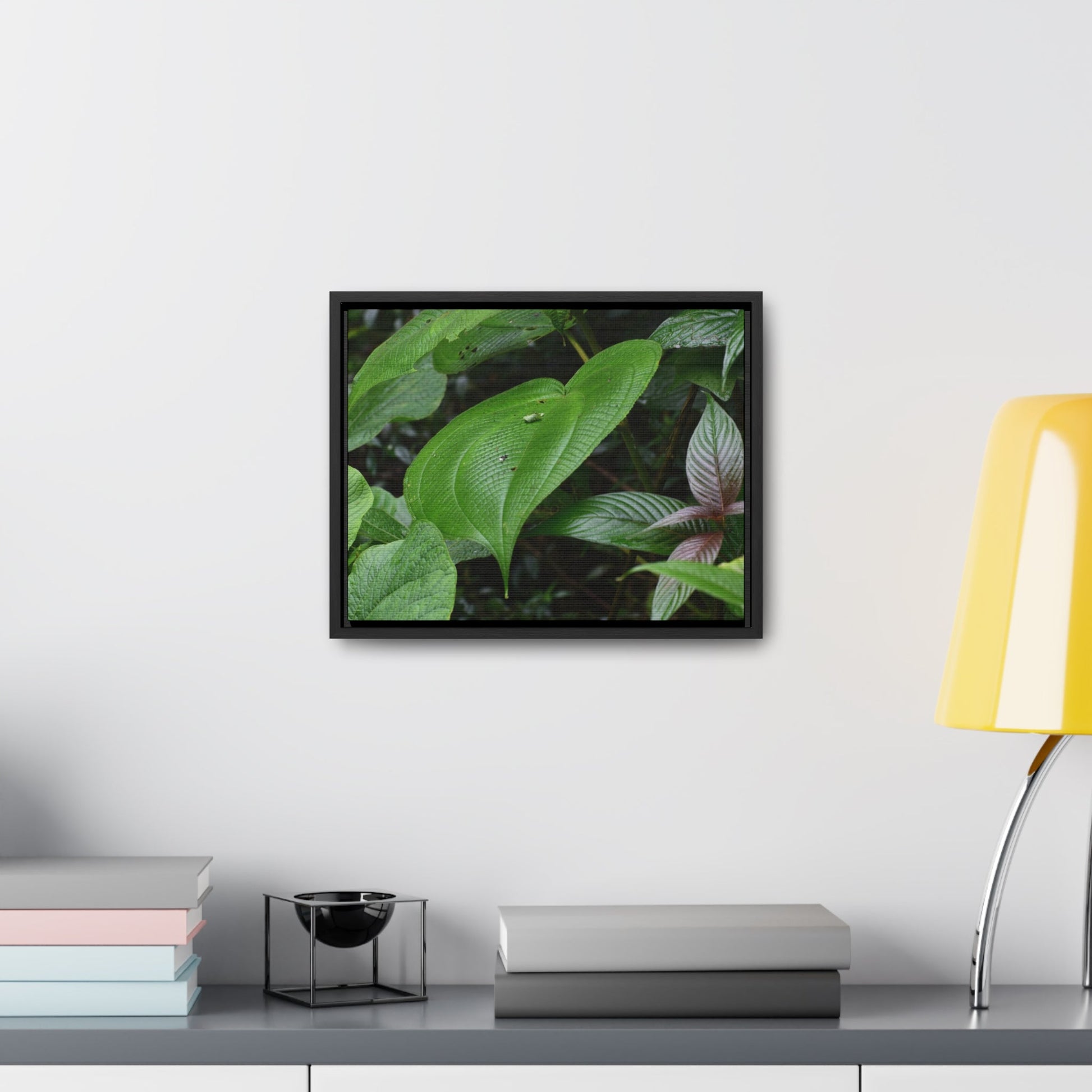 Rainforest Trails & Views - Gallery Canvas Wraps, Horizontal Frame - El Yunque National Forest - Puerto Rico - A few of El Yunque 250 plant species - Green Forest Home