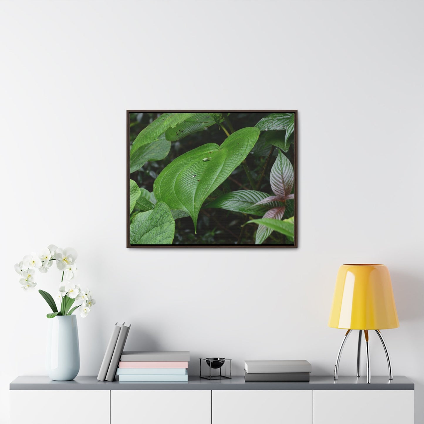 Rainforest Trails & Views - Gallery Canvas Wraps, Horizontal Frame - El Yunque National Forest - Puerto Rico - A few of El Yunque 250 plant species - Green Forest Home