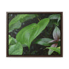 Rainforest Trails & Views - Gallery Canvas Wraps, Horizontal Frame - El Yunque National Forest - Puerto Rico - A few of El Yunque 250 plant species - Green Forest Home