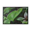 Rainforest Trails & Views - Gallery Canvas Wraps, Horizontal Frame - El Yunque National Forest - Puerto Rico - A few of El Yunque 250 plant species - Green Forest Home