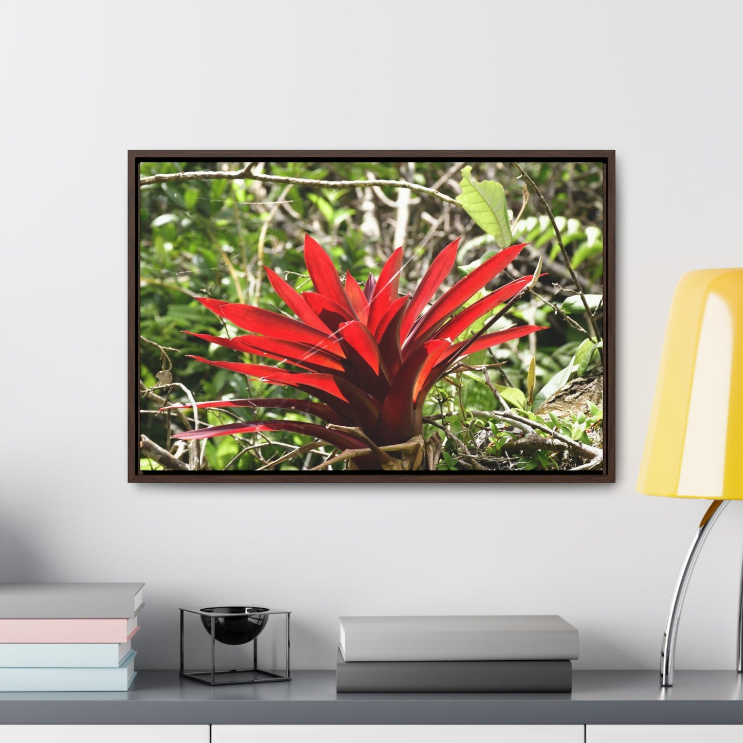 Rainforest Trails & Views - Gallery Canvas Wraps, Horizontal Frame - El Yunque National Forest - Puerto Rico - A rare red Bromeliad in the sunlight - Green Forest Home