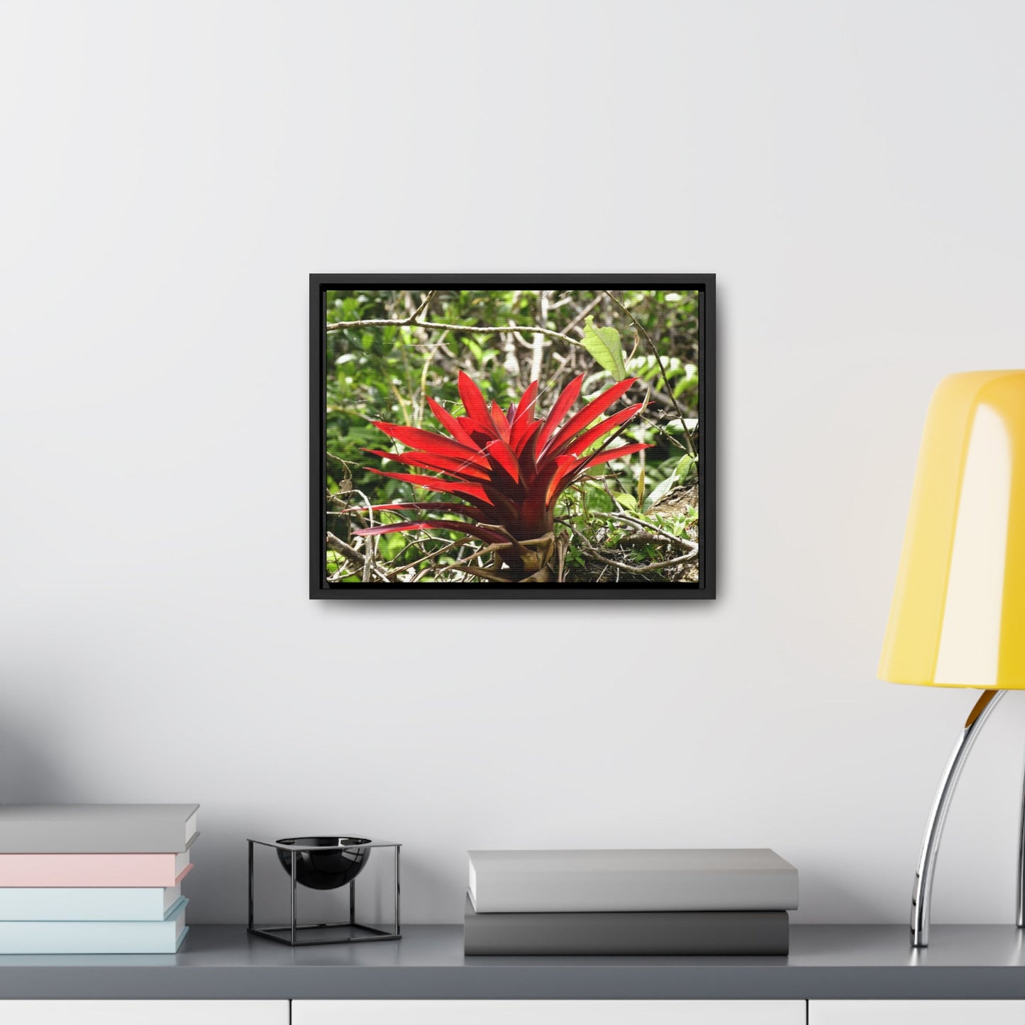 Rainforest Trails & Views - Gallery Canvas Wraps, Horizontal Frame - El Yunque National Forest - Puerto Rico - A rare red Bromeliad in the sunlight - Green Forest Home
