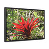 Rainforest Trails & Views - Gallery Canvas Wraps, Horizontal Frame - El Yunque National Forest - Puerto Rico - A rare red Bromeliad in the sunlight - Green Forest Home