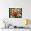 Rainforest Trails & Views - Gallery Canvas Wraps, Horizontal Frame - El Yunque National Forest - Puerto Rico - A rare red Bromeliad in the sunlight - Green Forest Home