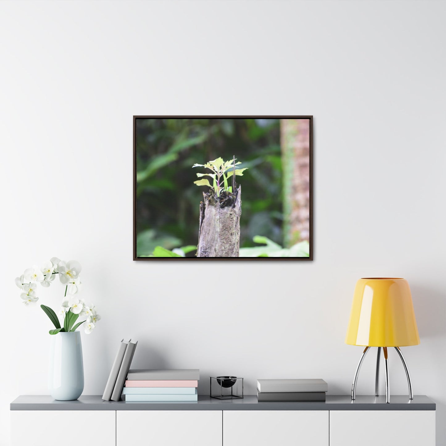 Rainforest Trails & Views - Gallery Canvas Wraps, Horizontal Frame - El Yunque National Forest - Puerto Rico - A sprout grows inside a broken Fern Palm - Green Forest Home