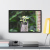 Rainforest Trails & Views - Gallery Canvas Wraps, Horizontal Frame - El Yunque National Forest - Puerto Rico - A sprout grows inside a broken Fern Palm - Green Forest Home