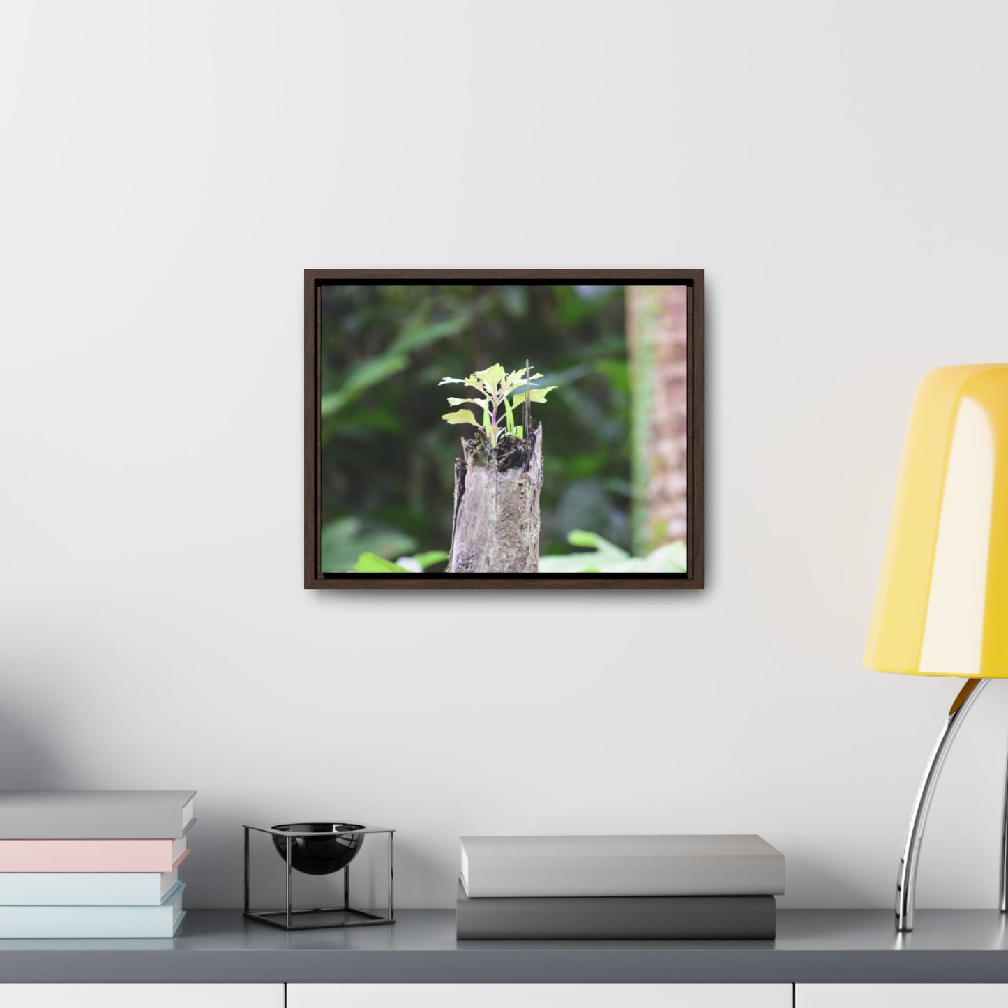 Rainforest Trails & Views - Gallery Canvas Wraps, Horizontal Frame - El Yunque National Forest - Puerto Rico - A sprout grows inside a broken Fern Palm - Green Forest Home