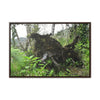 Rainforest Trails & Views - Gallery Canvas Wraps, Horizontal Frame - El Yunque National Forest - Puerto Rico - A tree uprooted by Hurricane Maria 140 MPH winds in Tradewinds Trail - Green Forest Home