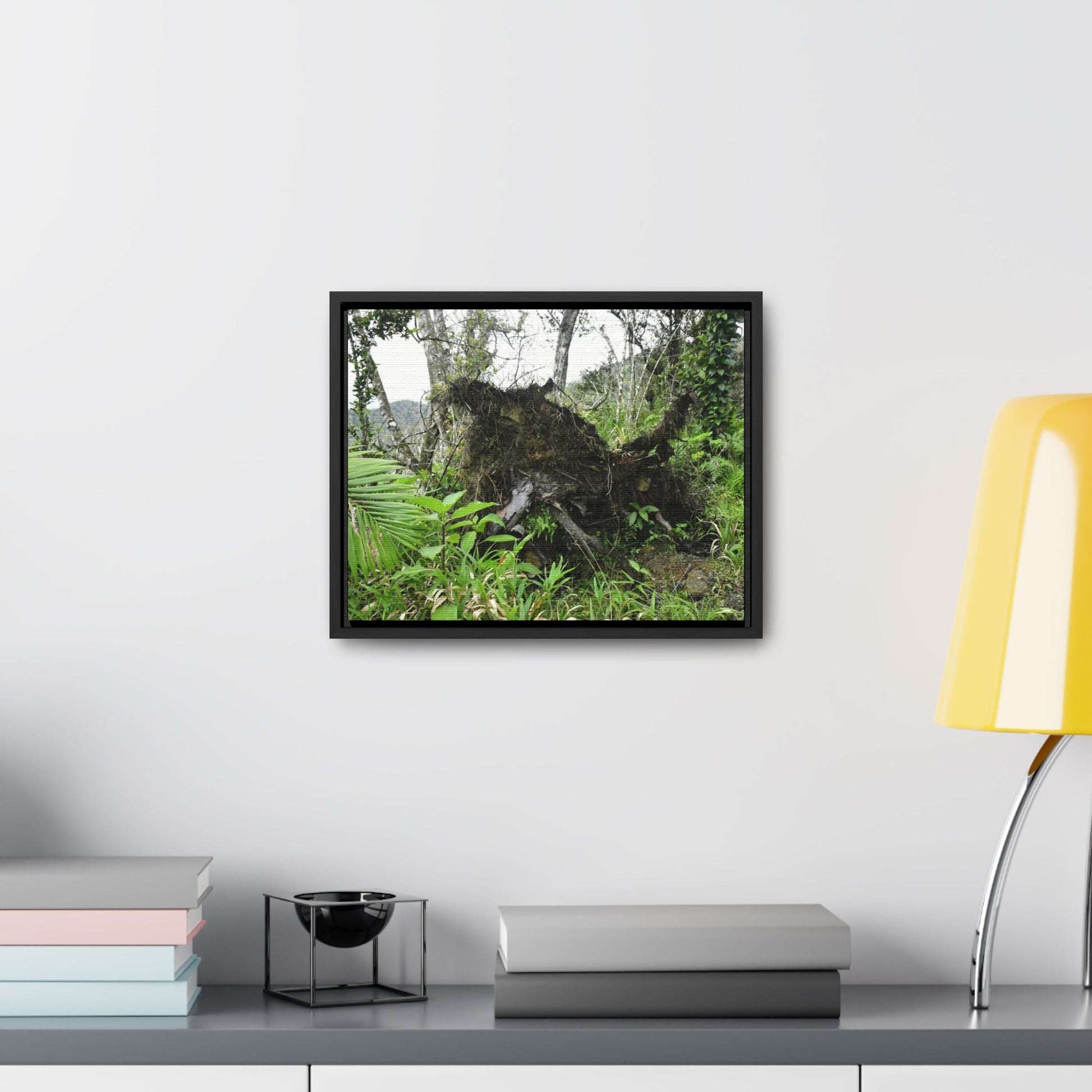Rainforest Trails & Views - Gallery Canvas Wraps, Horizontal Frame - El Yunque National Forest - Puerto Rico - A tree uprooted by Hurricane Maria 140 MPH winds in Tradewinds Trail - Green Forest Home