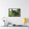 Rainforest Trails & Views - Gallery Canvas Wraps, Horizontal Frame - El Yunque National Forest - Puerto Rico - A tree uprooted by Hurricane Maria 140 MPH winds in Tradewinds Trail - Green Forest Home