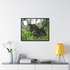 Rainforest Trails & Views - Gallery Canvas Wraps, Horizontal Frame - El Yunque National Forest - Puerto Rico - A tree uprooted by Hurricane Maria 140 MPH winds in Tradewinds Trail - Green Forest Home
