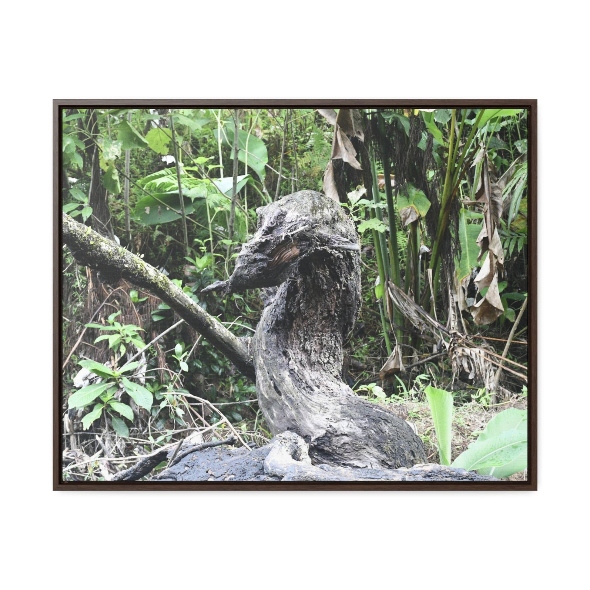 Rainforest Trails & Views - Gallery Canvas Wraps, Horizontal Frame - El Yunque National Forest - Puerto Rico - Awesome tropical flower - Formations of trunks in the Sabana river - Green Forest Home