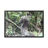 Rainforest Trails & Views - Gallery Canvas Wraps, Horizontal Frame - El Yunque National Forest - Puerto Rico - Awesome tropical flower - Formations of trunks in the Sabana river - Green Forest Home