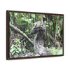Rainforest Trails & Views - Gallery Canvas Wraps, Horizontal Frame - El Yunque National Forest - Puerto Rico - Awesome tropical flower - Formations of trunks in the Sabana river - Green Forest Home