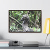 Rainforest Trails & Views - Gallery Canvas Wraps, Horizontal Frame - El Yunque National Forest - Puerto Rico - Awesome tropical flower - Formations of trunks in the Sabana river - Green Forest Home