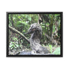 Rainforest Trails & Views - Gallery Canvas Wraps, Horizontal Frame - El Yunque National Forest - Puerto Rico - Awesome tropical flower - Formations of trunks in the Sabana river - Green Forest Home
