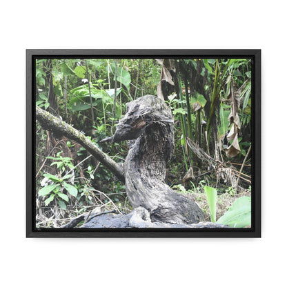 Rainforest Trails & Views - Gallery Canvas Wraps, Horizontal Frame - El Yunque National Forest - Puerto Rico - Awesome tropical flower - Formations of trunks in the Sabana river - Green Forest Home
