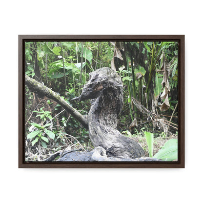 Rainforest Trails & Views - Gallery Canvas Wraps, Horizontal Frame - El Yunque National Forest - Puerto Rico - Awesome tropical flower - Formations of trunks in the Sabana river - Green Forest Home