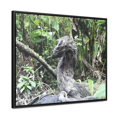 Rainforest Trails & Views - Gallery Canvas Wraps, Horizontal Frame - El Yunque National Forest - Puerto Rico - Awesome tropical flower - Formations of trunks in the Sabana river - Green Forest Home