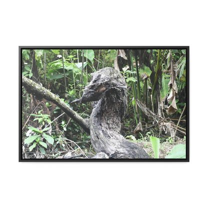 Rainforest Trails & Views - Gallery Canvas Wraps, Horizontal Frame - El Yunque National Forest - Puerto Rico - Awesome tropical flower - Formations of trunks in the Sabana river - Green Forest Home