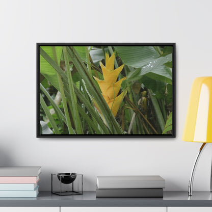 Rainforest Trails & Views - Gallery Canvas Wraps, Horizontal Frame - El Yunque National Forest - Puerto Rico - Awesome tropical flower - Heliconias - Green Forest Home