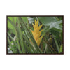 Rainforest Trails & Views - Gallery Canvas Wraps, Horizontal Frame - El Yunque National Forest - Puerto Rico - Awesome tropical flower - Heliconias - Green Forest Home