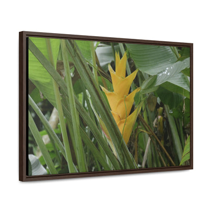 Rainforest Trails & Views - Gallery Canvas Wraps, Horizontal Frame - El Yunque National Forest - Puerto Rico - Awesome tropical flower - Heliconias - Green Forest Home