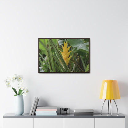 Rainforest Trails & Views - Gallery Canvas Wraps, Horizontal Frame - El Yunque National Forest - Puerto Rico - Awesome tropical flower - Heliconias - Green Forest Home
