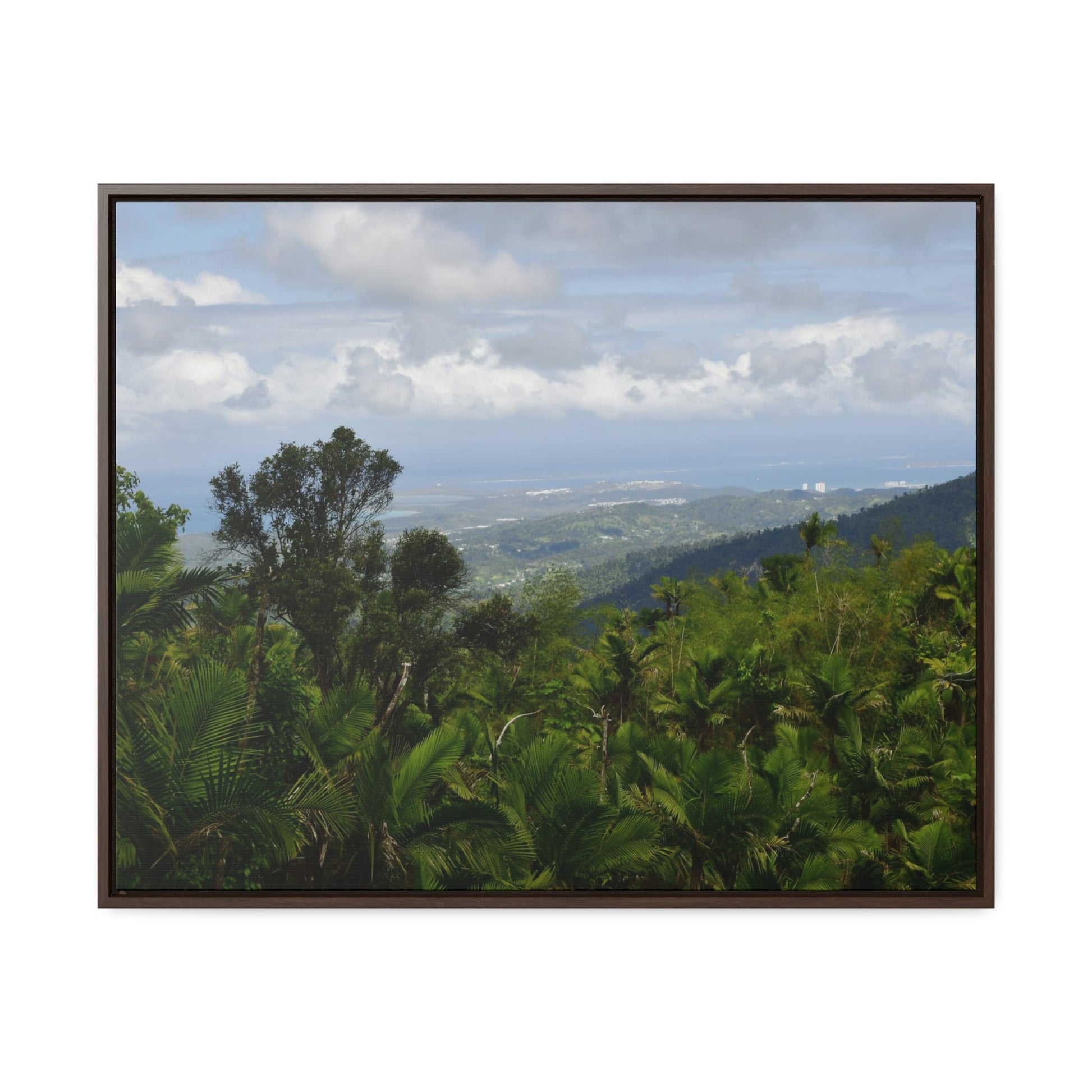 Rainforest Trails & Views - Gallery Canvas Wraps, Horizontal Frame - El Yunque National Forest - Puerto Rico - Awesome views from the main road PR 191 - Green Forest Home