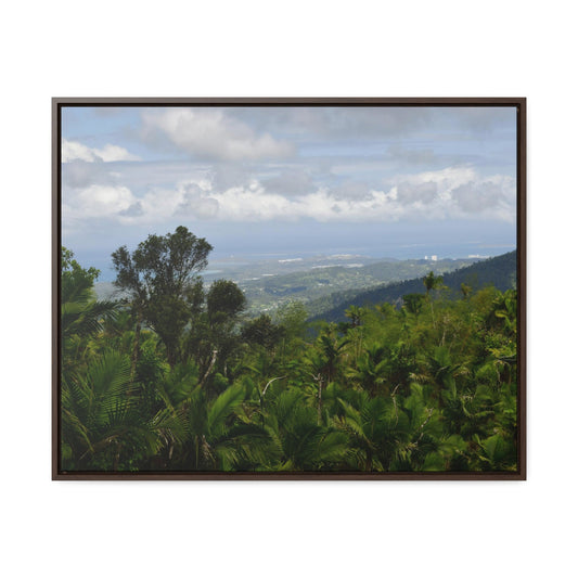 Rainforest Trails & Views - Gallery Canvas Wraps, Horizontal Frame - El Yunque National Forest - Puerto Rico - Awesome views from the main road PR 191 - Green Forest Home