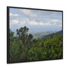 Rainforest Trails & Views - Gallery Canvas Wraps, Horizontal Frame - El Yunque National Forest - Puerto Rico - Awesome views from the main road PR 191 - Green Forest Home