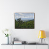 Rainforest Trails & Views - Gallery Canvas Wraps, Horizontal Frame - El Yunque National Forest - Puerto Rico - Awesome views from the main road PR 191 - Green Forest Home