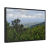 Rainforest Trails & Views - Gallery Canvas Wraps, Horizontal Frame - El Yunque National Forest - Puerto Rico - Awesome views from the main road PR 191 - Green Forest Home