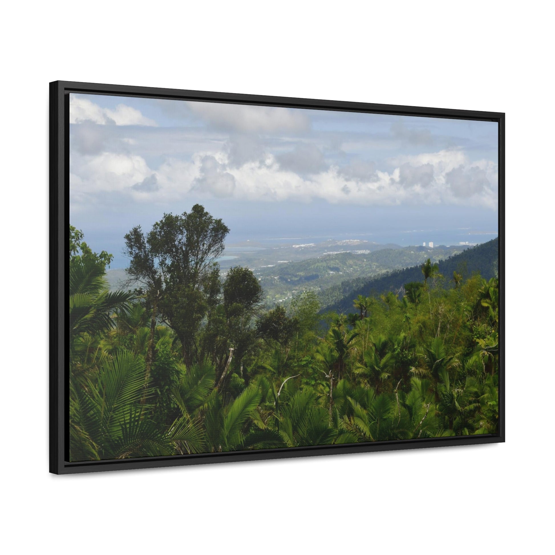 Rainforest Trails & Views - Gallery Canvas Wraps, Horizontal Frame - El Yunque National Forest - Puerto Rico - Awesome views from the main road PR 191 - Green Forest Home