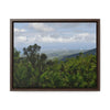Rainforest Trails & Views - Gallery Canvas Wraps, Horizontal Frame - El Yunque National Forest - Puerto Rico - Awesome views from the main road PR 191 - Green Forest Home